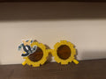 rts CC sunnies